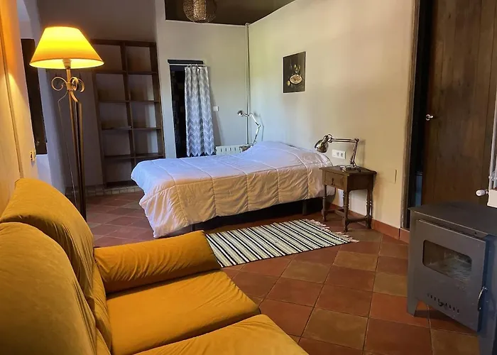 Holiday home Mas Costa Sant Ferriol